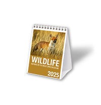 Wildlife Mini Desk Calendar