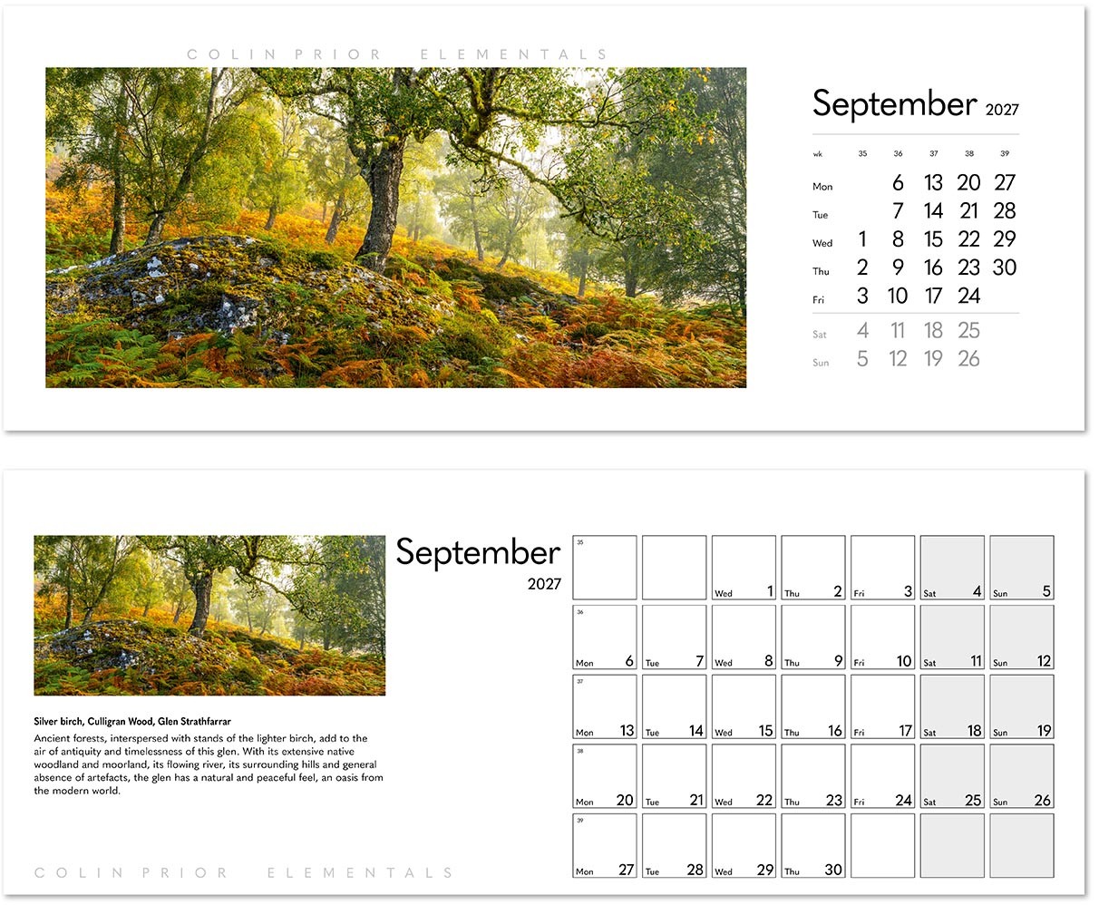 Colin Prior Elementals Desk Calendar