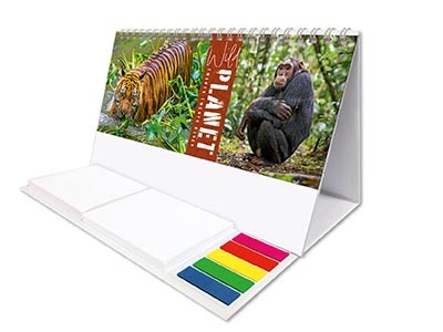 Wild Planet Note Station Desk Calendar 