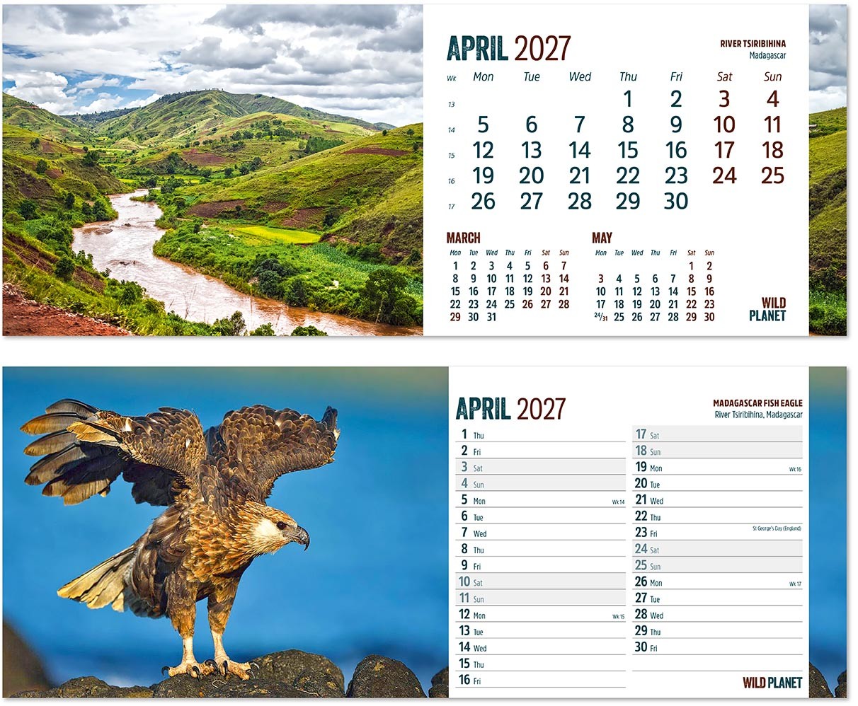 Wild Planet Note Station Desk Calendar 
