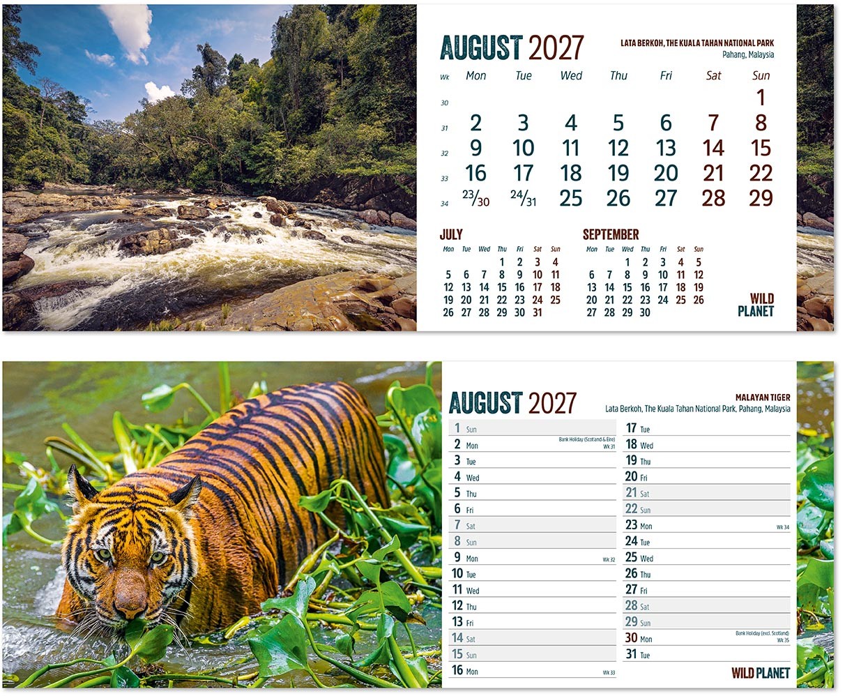 Wild Planet Note Station Desk Calendar 