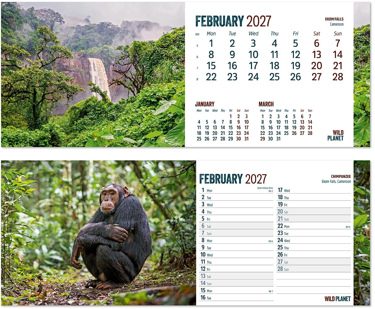 Wild Planet Note Station Desk Calendar 