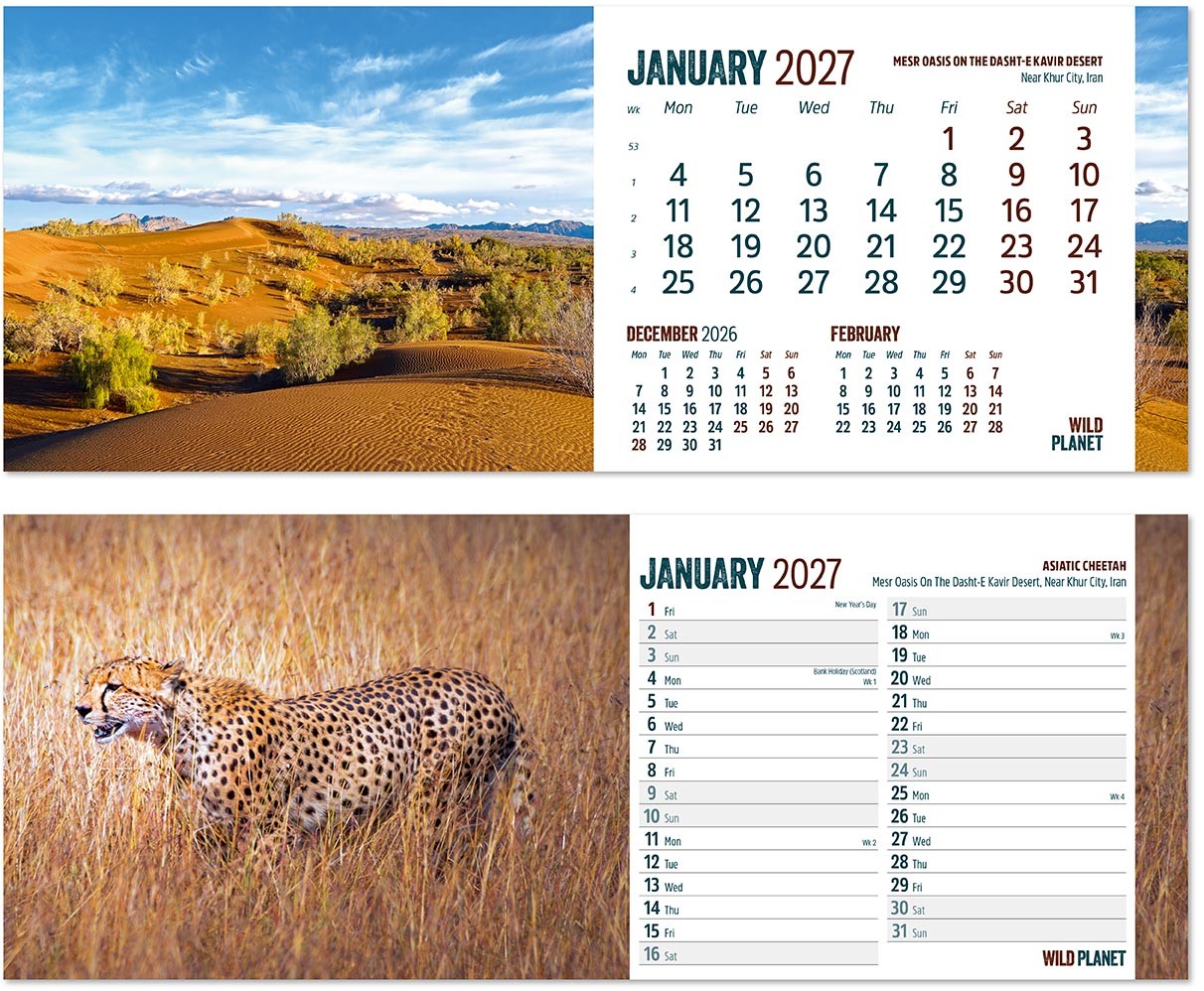 Wild Planet Note Station Desk Calendar 
