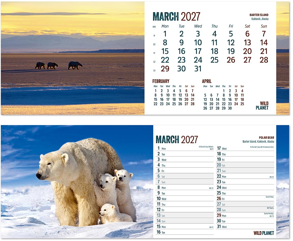 Wild Planet Note Station Desk Calendar 