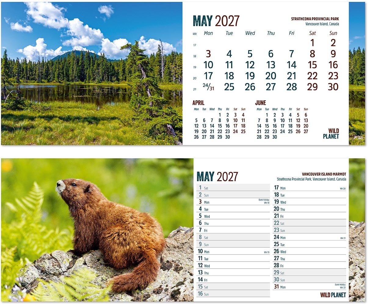 Wild Planet Note Station Desk Calendar 