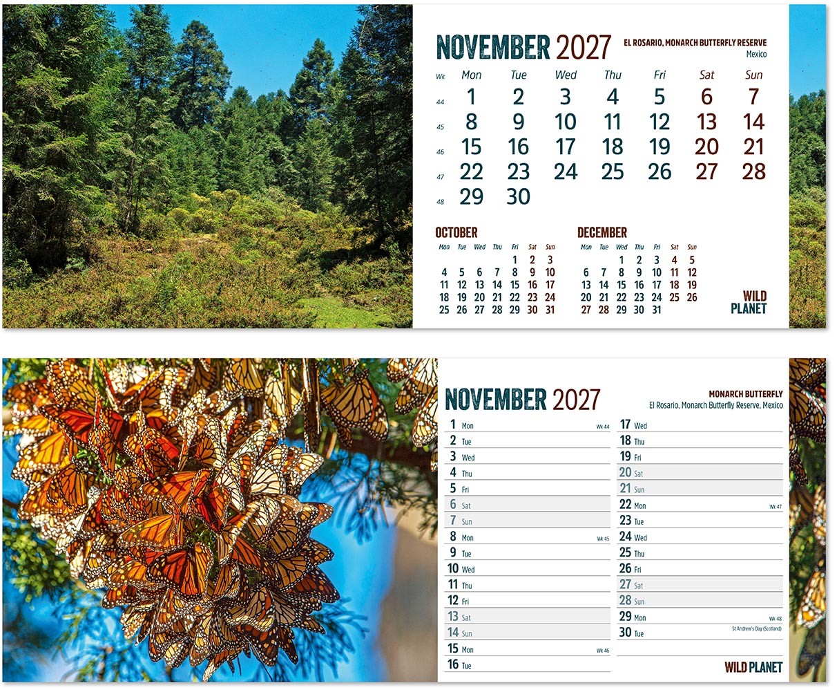 Wild Planet Note Station Desk Calendar 