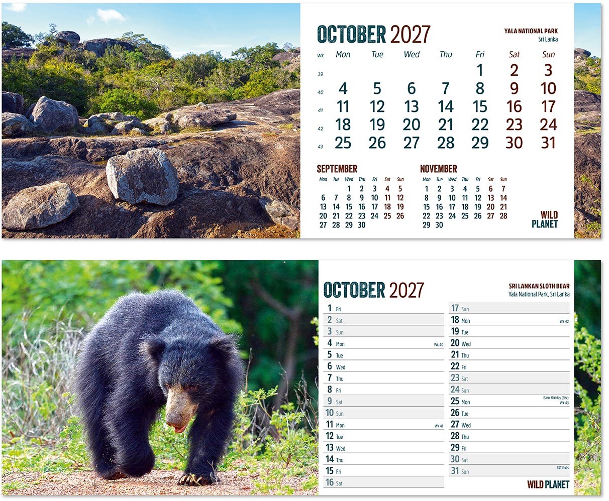 Wild Planet Note Station Desk Calendar 