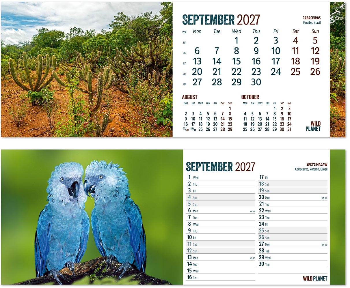 Wild Planet Note Station Desk Calendar 
