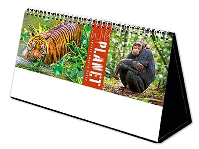 Wild Planet Premium Lined Easel Desk Calendar