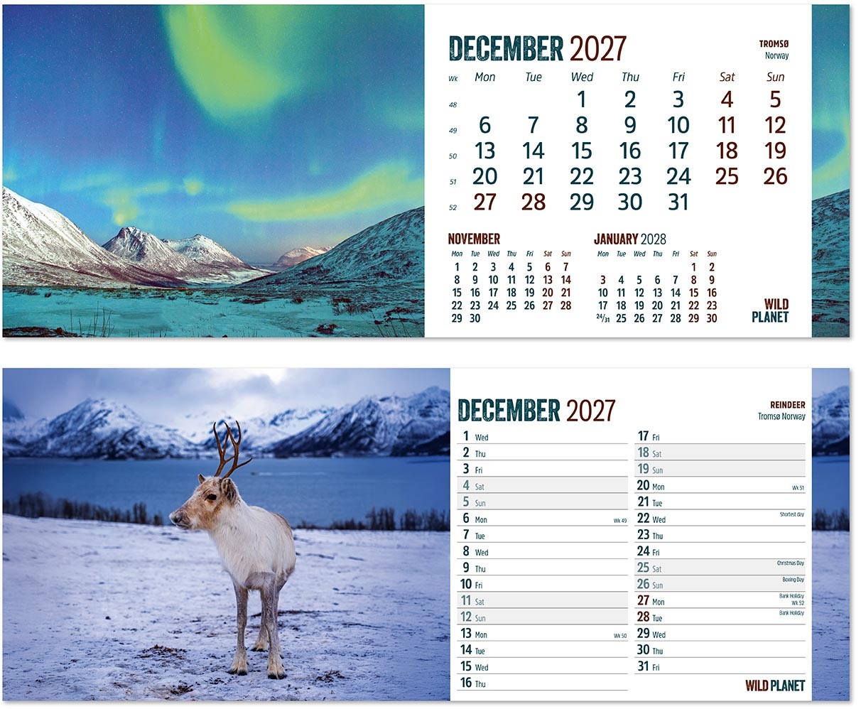 Wild Planet Desk Calendar