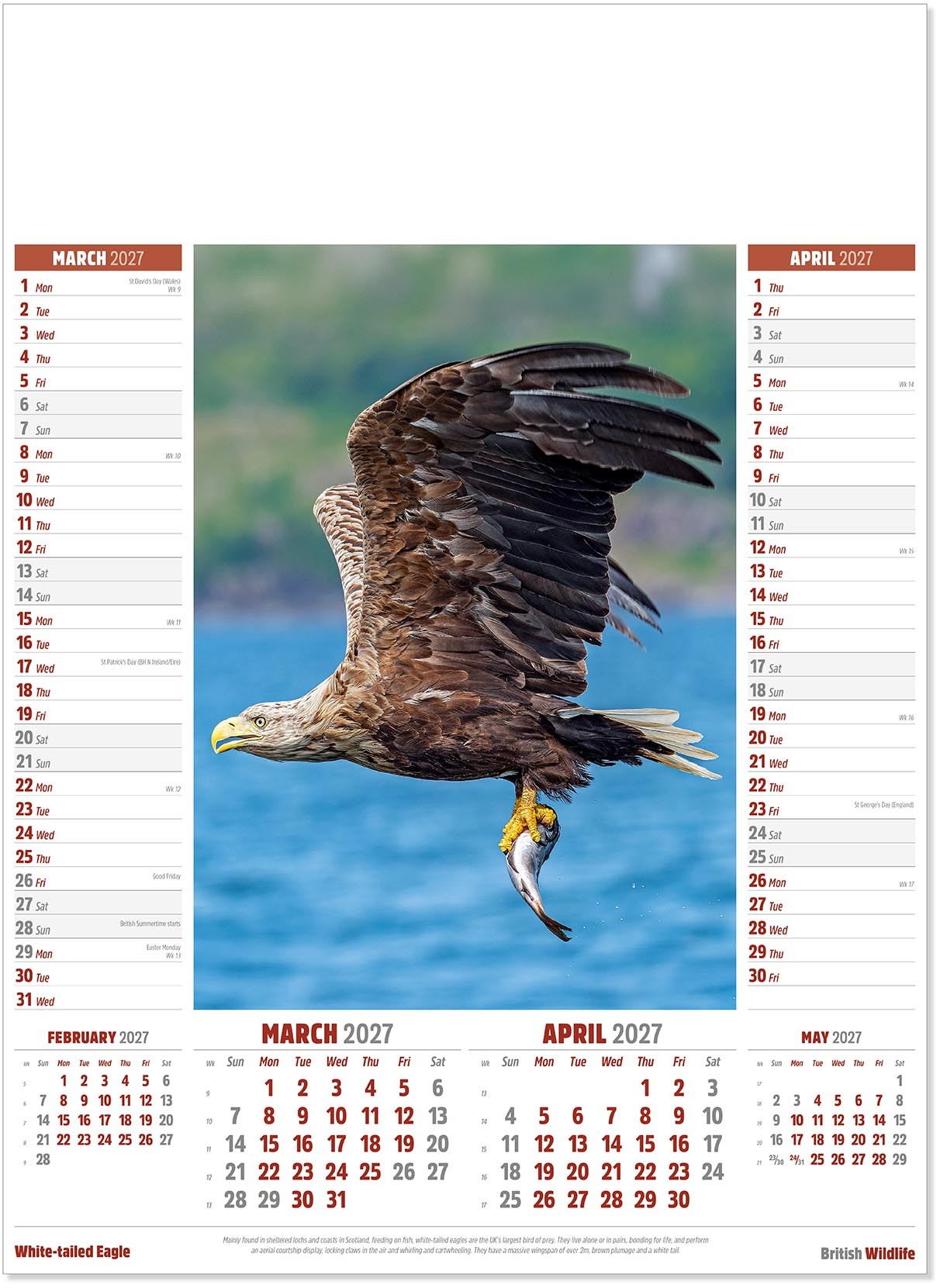 British Wildlife Calendar