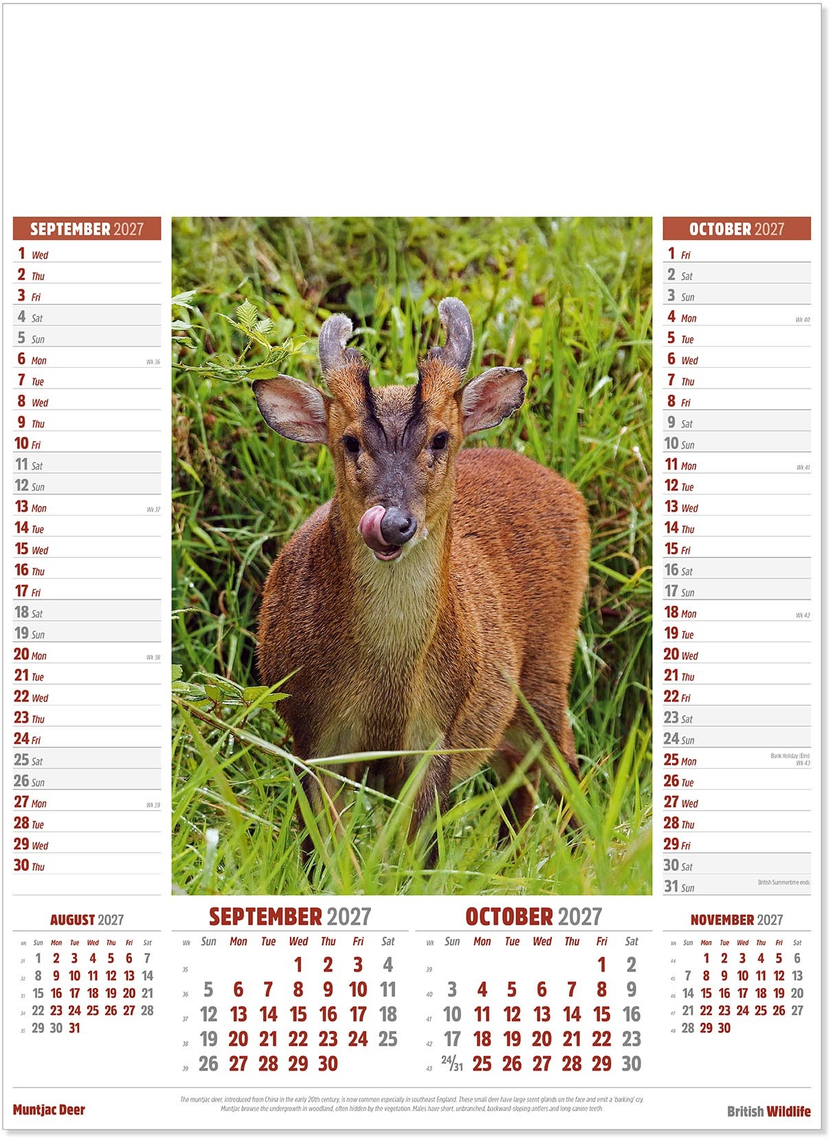 British Wildlife Calendar