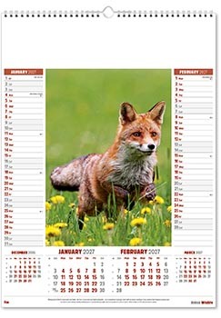 British Wildlife Calendar